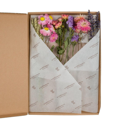 Trockenblumen Set Flowers in Letterbox Pink – 5 Stück | Pflanzfix24