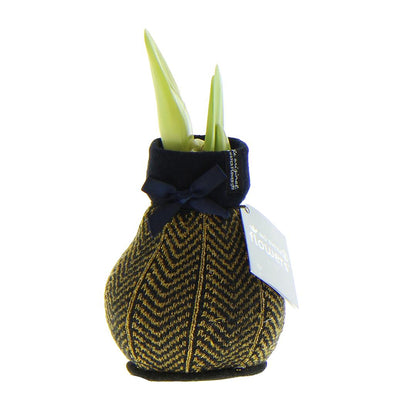 No Water Flowers® (wax amaryllis) | Fashionz Elegant - Gold + Red flower - Pflanzfix24