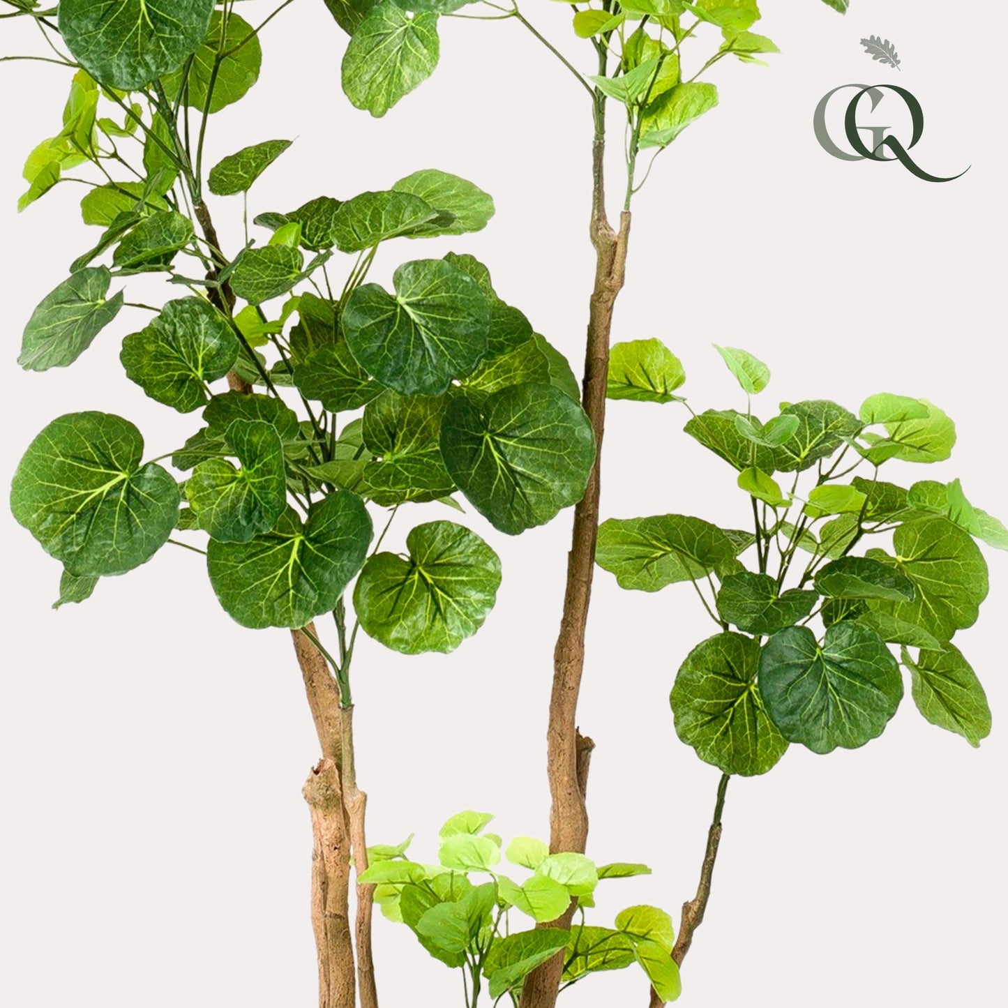 Kunstpflanze Polyscias Aralia 135 cm – Pflegeleicht & Realistisch | Pflanzfix24.de - Pflanzfix24.de