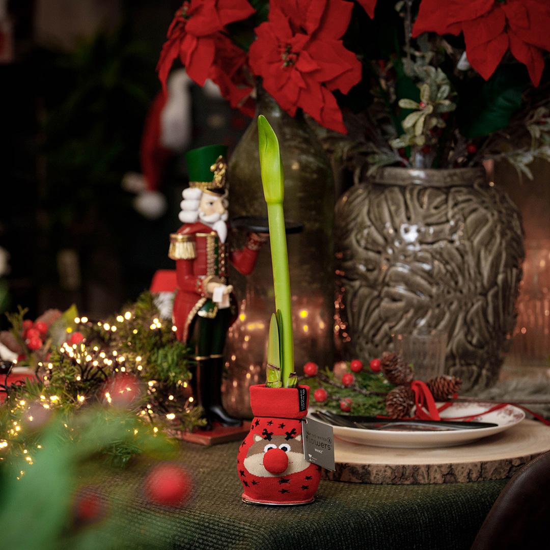 No Water Flowers® Fashionz Xmas Fun Classic Mix (3 pack) + Red flower - Pflanzfix24