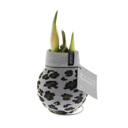 No Water Flowers® Fashionz Animal - Leopard + Red flower - Pflanzfix24