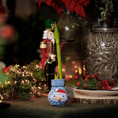 No Water Flowers® Fashionz Xmas Fun Classic Mix (3 pack) + Red flower - Pflanzfix24