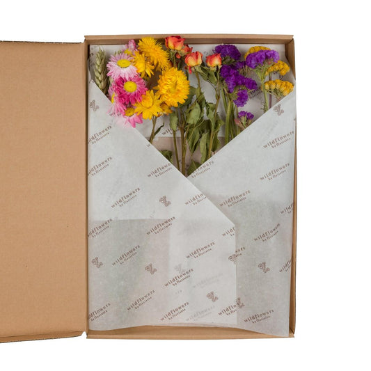 Getrocknete Blumen - Flowers in Leterbox - Multi - 5 Stücke - ↕30cm bei Pflanzfix24.de - Pflanzfix24.de