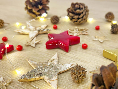 Christmas Terrarium Decoration Kit - Pflanzfix24