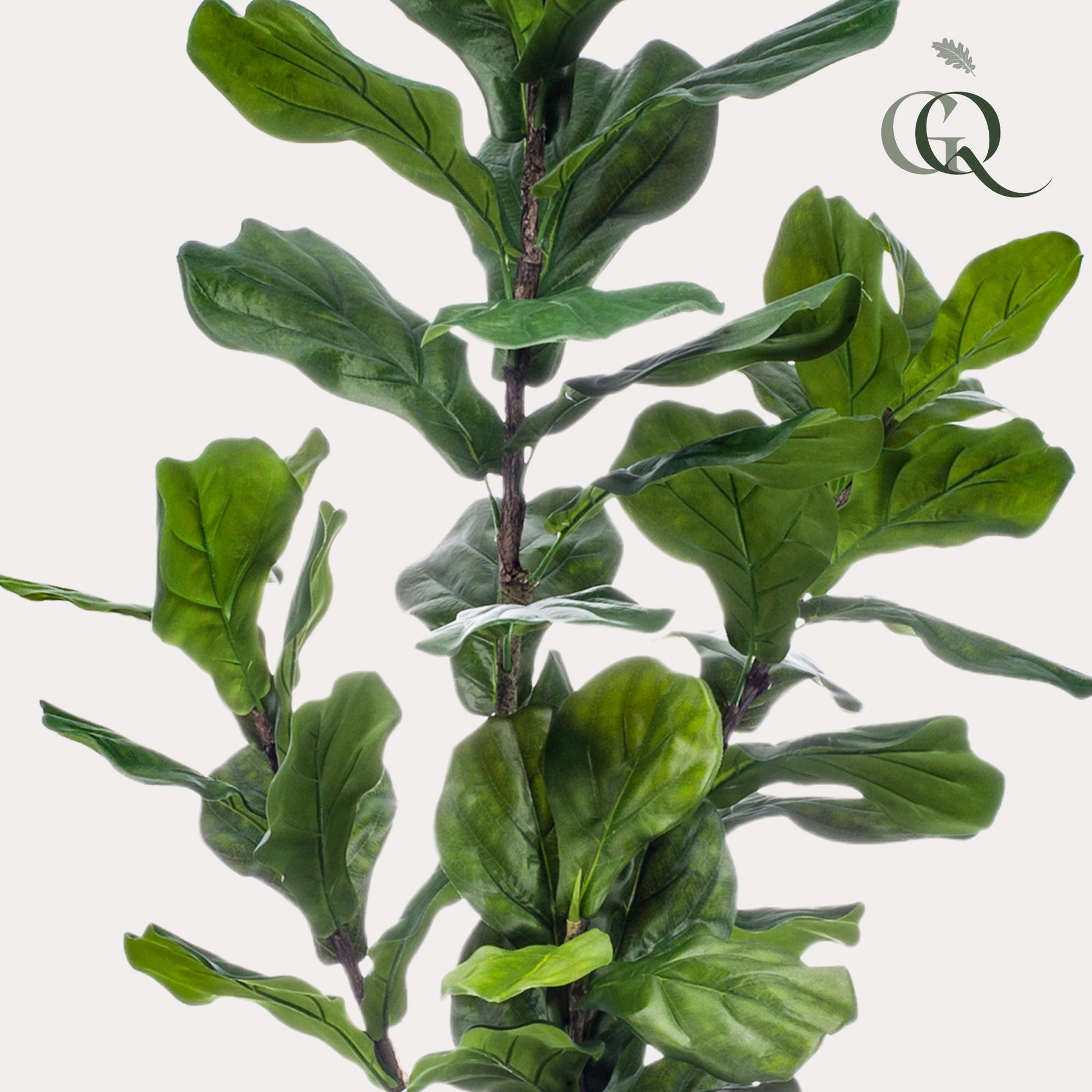 Kunstpflanze Ficus Lyrata 150 cm | Tabaksplant | Pflanzfix24.de - Pflanzfix24.de