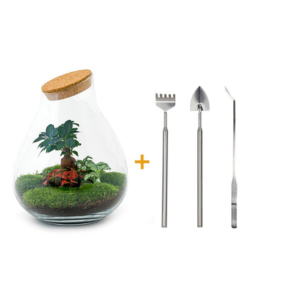 Flaschengarten - Drop XL - DIY Terrarium Set - Pflanzfix24.de - Pflanzfix24.de