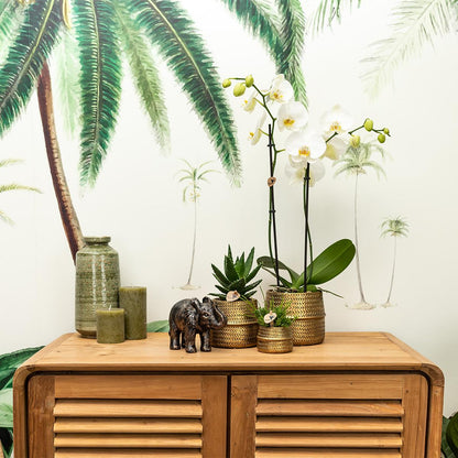 Pflanzfix24.de | Groove Blumentopf - Goldener Keramik-Topf - Ø12cm - Pflanzfix24.de