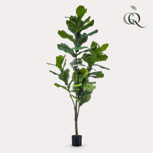Kunstpflanze Ficus Lyrata 150 cm | Tabaksplant | Pflanzfix24.de - Pflanzfix24.de
