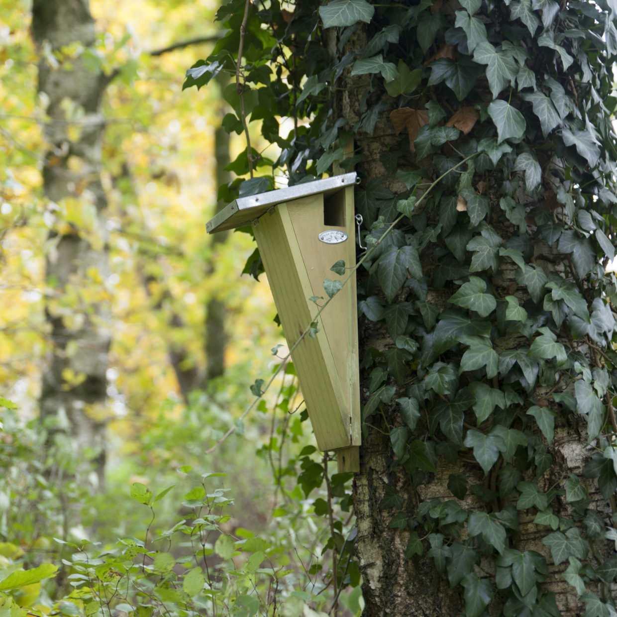 Vogelhaus Baumläufer Nistkasten mit Zinkdach – Pflanzfix24.de - Pflanzfix24.de