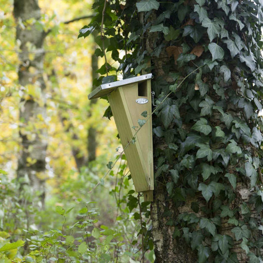 Vogelhaus Baumläufer Nistkasten mit Zinkdach – Pflanzfix24.de - Pflanzfix24.de