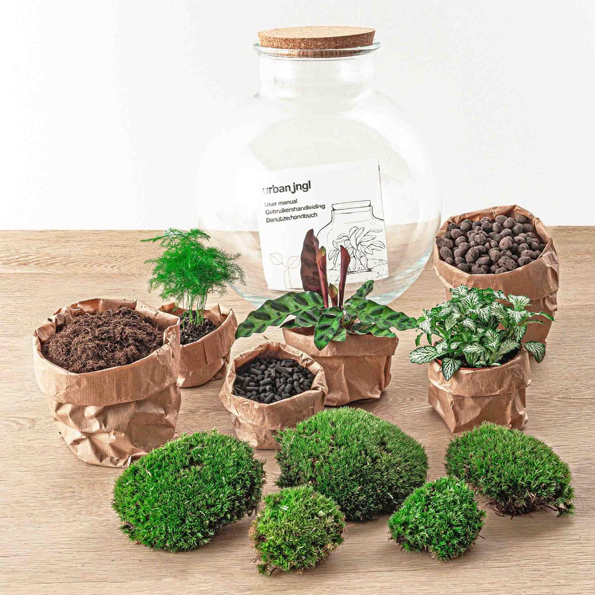 Flaschengarten - Bolder Bob - DIY Terrarium Set - Pflanzfix24.de - Pflanzfix24.de