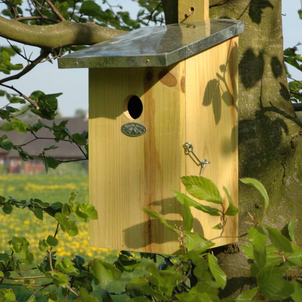 Beobachtungs-Nistkasten Vogelhaus Ø32mm – Pflanzfix24.de - Pflanzfix24.de