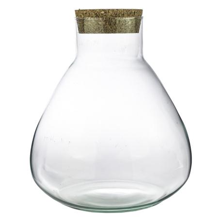 pflanzfix24 Terrarium Sammie - geschlossenes Flaschengarten-Set H: 26,5 cm