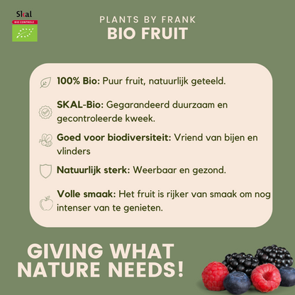 Fruchtoase BIO Obstpflanzen Mix - Pflanzfix24