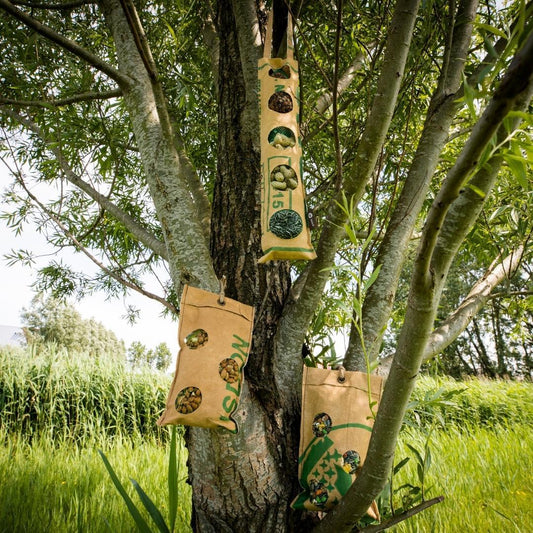 Bird Buffet Vogelfutter ECO 300g für Kohl- & Blaumeisen – pflanzfix24