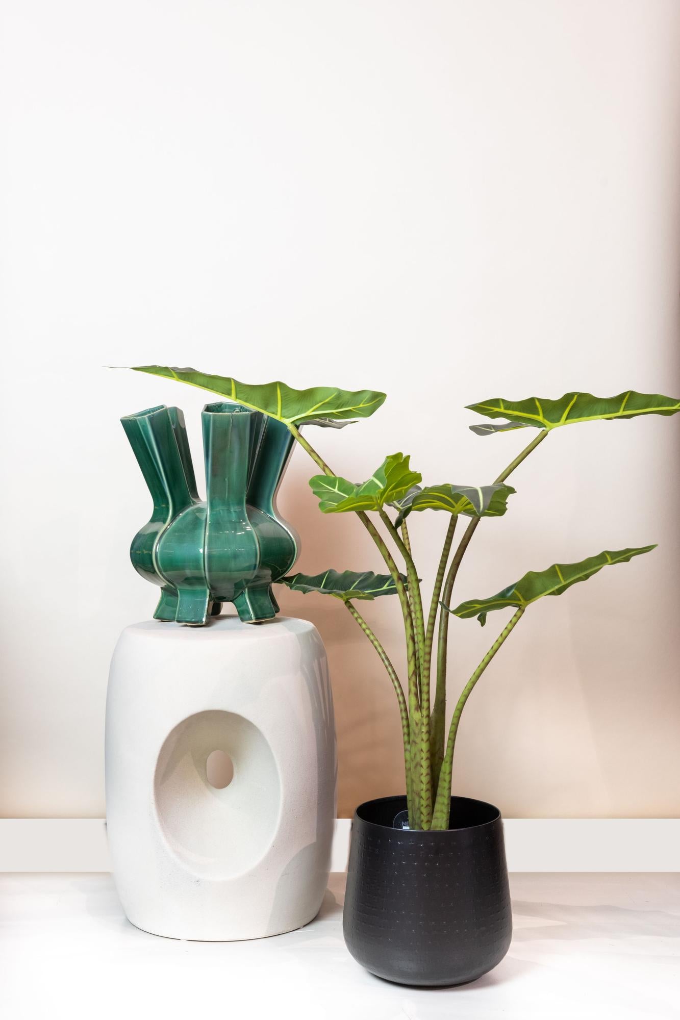 Kunst-Alocasia Frydek 80 cm – Pflanzfix24.de - Pflanzfix24.de