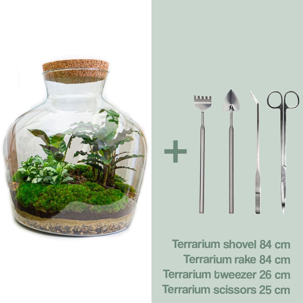 Flaschengarten - Fat Joe - DIY Terrarium Set - 30 cm - Pflanzfix24