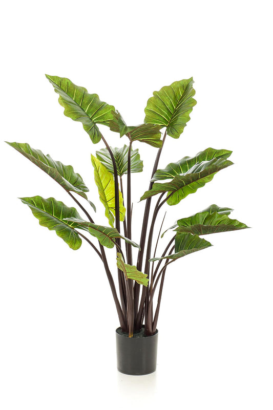 Colocasia Pink China Kunstpflanze 130 cm – Elefantenohr | Pflanzfix24.de - Pflanzfix24.de