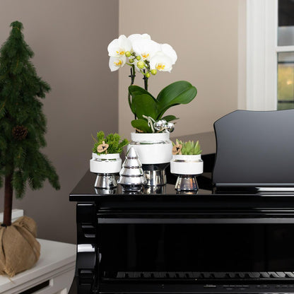 Kolibri Home Le Chic Blumentopf Weiß Ø6cm mit Silber – Keramik | Pflanzfix24.de - Pflanzfix24.de