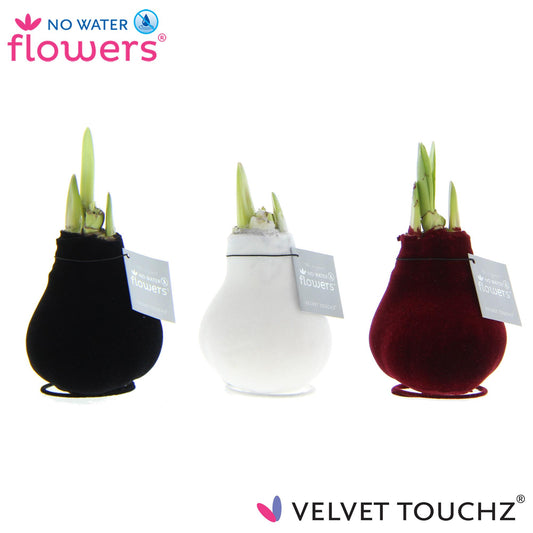 No Water Flowers Velvet Touchz Classic Mix - 3 stuks - Ø7 cm - ↕15 cm - Pflanzfix24