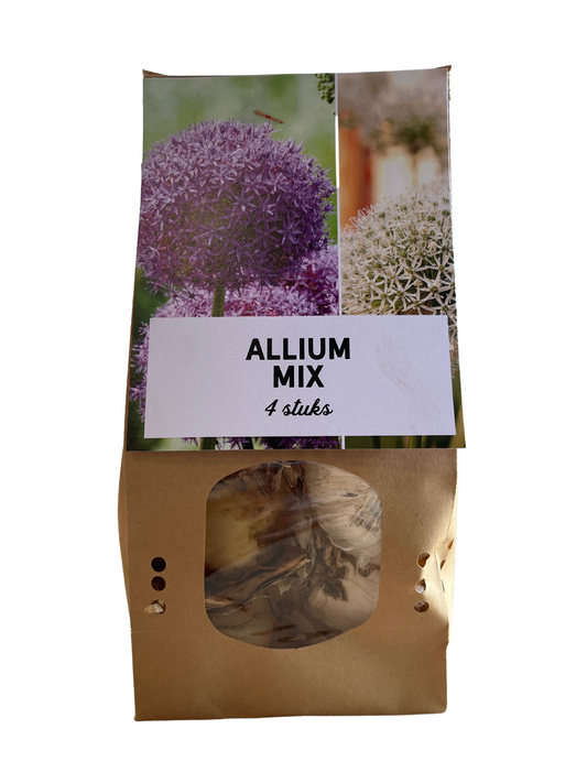 Allium Mix bollen 4 stuks - Pflanzfix24