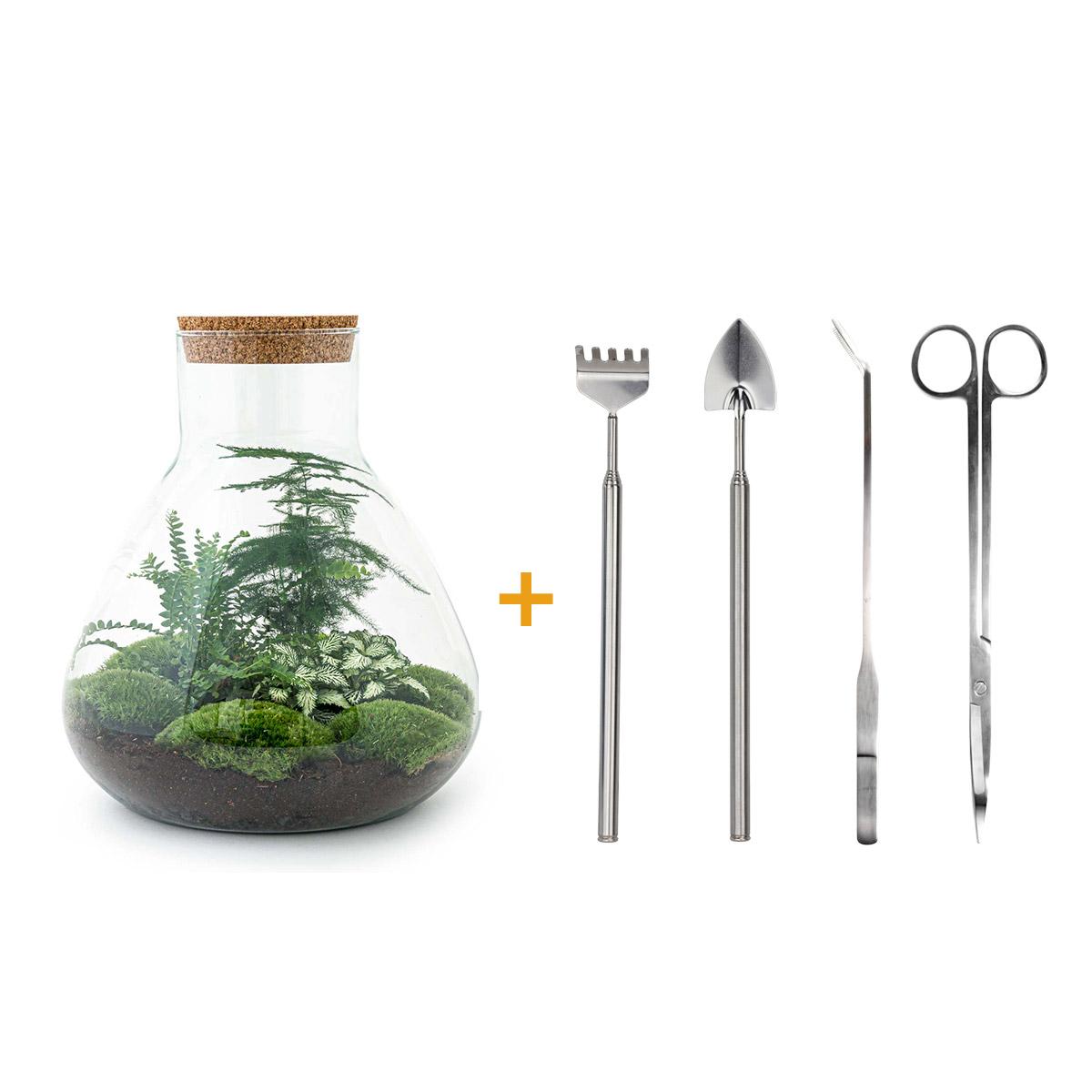 Flaschengarten - Sam XL - ↕ 35 cm - Rake + Shovel + Tweezer + Scissors - Pflanzfix24.de - Pflanzfix24.de