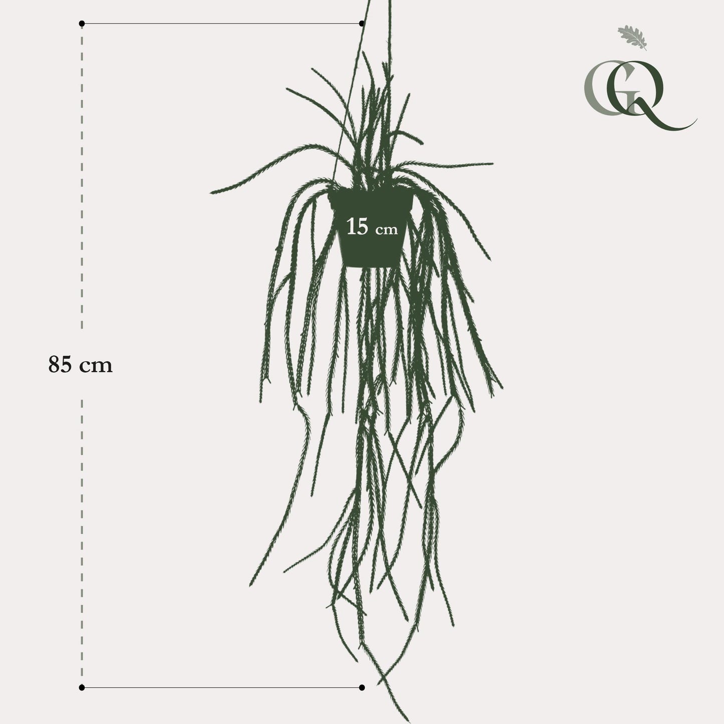 Kunstpflanze Rhipsalis Korallenkaktus 85 cm – Hängende Kaktee | Pflanzfix24.de - Pflanzfix24.de
