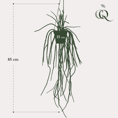 Kunstpflanze Rhipsalis Korallenkaktus 85 cm – Hängende Kaktee | Pflanzfix24.de - Pflanzfix24.de