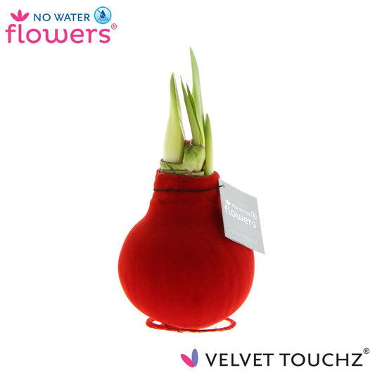 No Water Flowers Velvet Touchz® Red - ↕15cm - Pflanzfix24