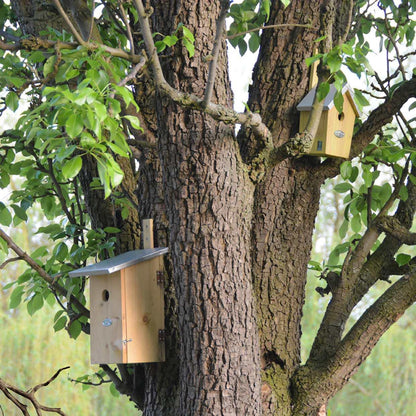 Beobachtungs-Nistkasten Vogelhaus Ø32mm – Pflanzfix24.de - Pflanzfix24.de