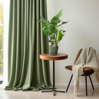 Monstera Deliciosa - Ø17cm - ↕60cm - Pflanzfix24