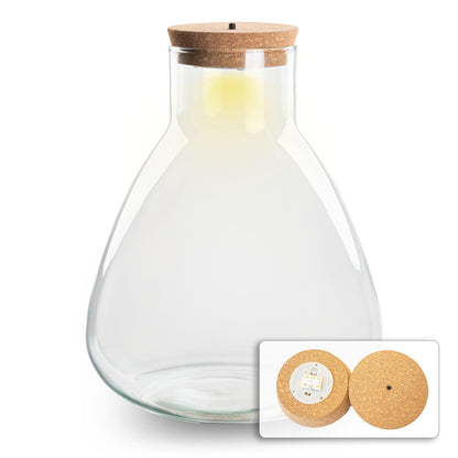 Terrarium-Flasche Erlenmeyer 30cm mit LED-Kork | Pflanzfix24