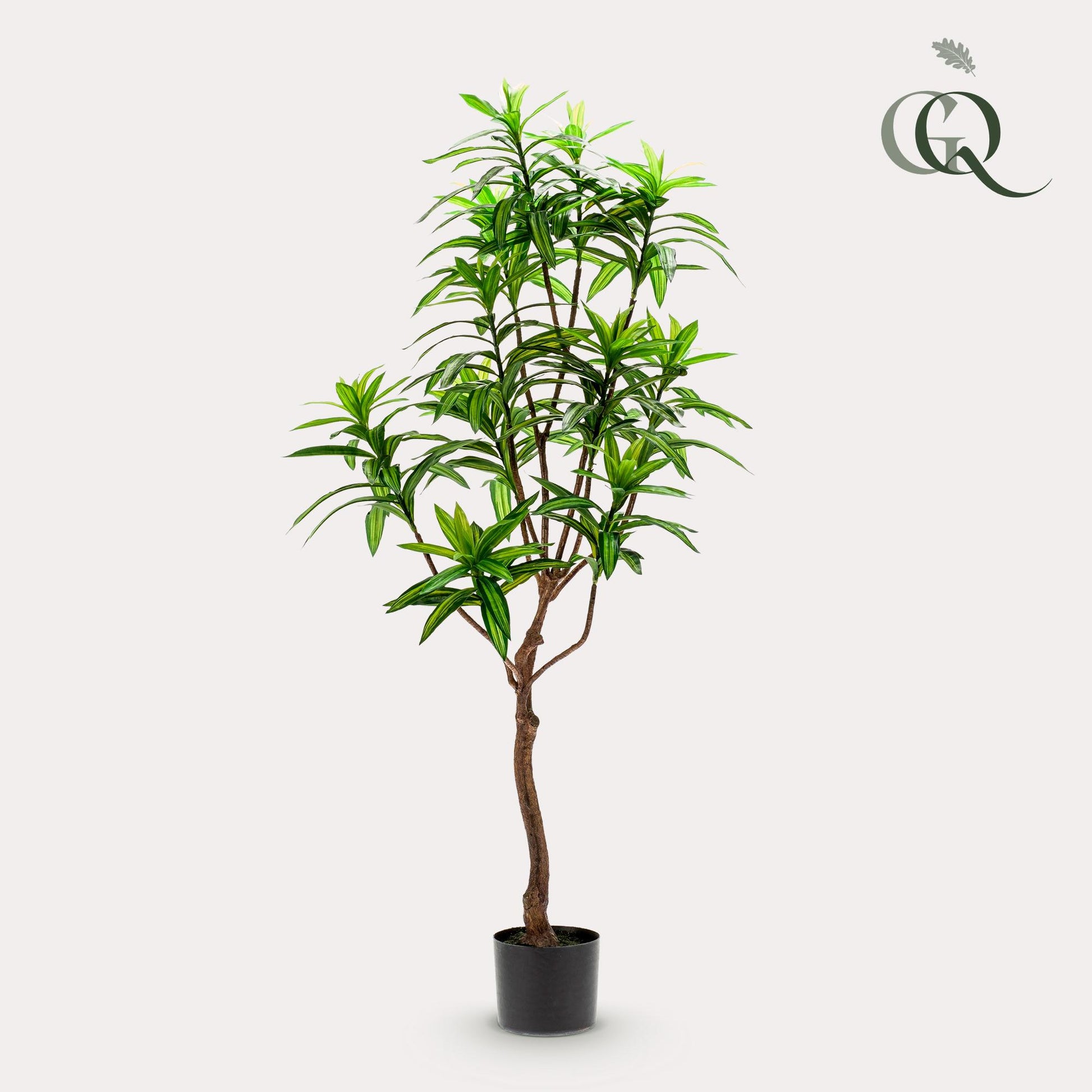 Dracaena Kunstpflanze 130cm – Drachenbaum | Pflanzfix24.de - Pflanzfix24.de