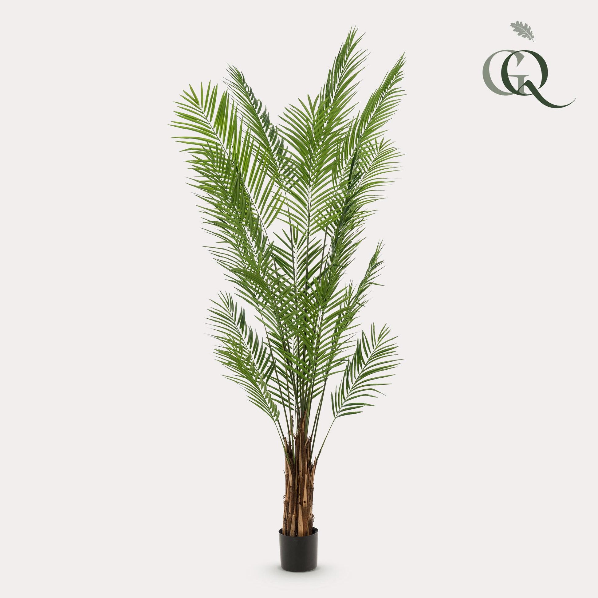 Kunstpflanze Areca Lutescens 240 cm – Goudpalm | Pflanzfix24.de - Pflanzfix24.de