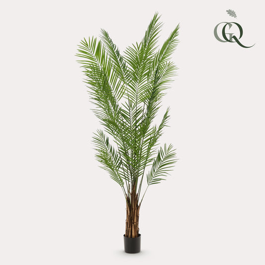 Kunstpflanze Areca Lutescens 240 cm – Goudpalm | Pflanzfix24.de - Pflanzfix24.de