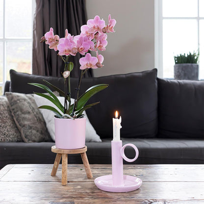 pflanzfix24 | Simplicity Topf - Rose - 9cm