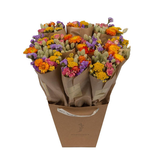 Getrocknete Blumen - Market More - Multi - ↕50cm - 10x - Pflanzfix24.de - Pflanzfix24.de