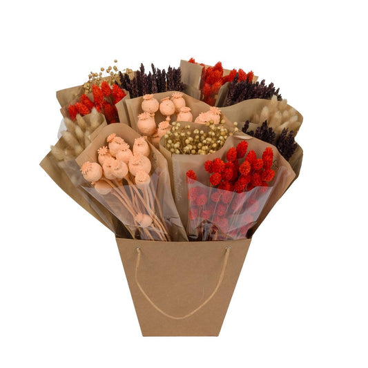 Getrocknete Blumen - Dried Mono Mix - Dark Amber - ↕50cm - Pflanzfix24