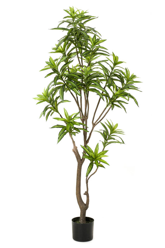 Dracaena Kunstpflanze 155cm – Drachenbaum | Pflanzfix24.de - Pflanzfix24.de