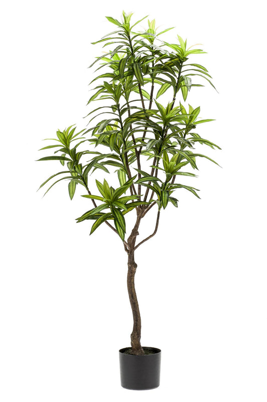Dracaena Kunstpflanze 130cm – Drachenbaum | Pflanzfix24.de - Pflanzfix24.de