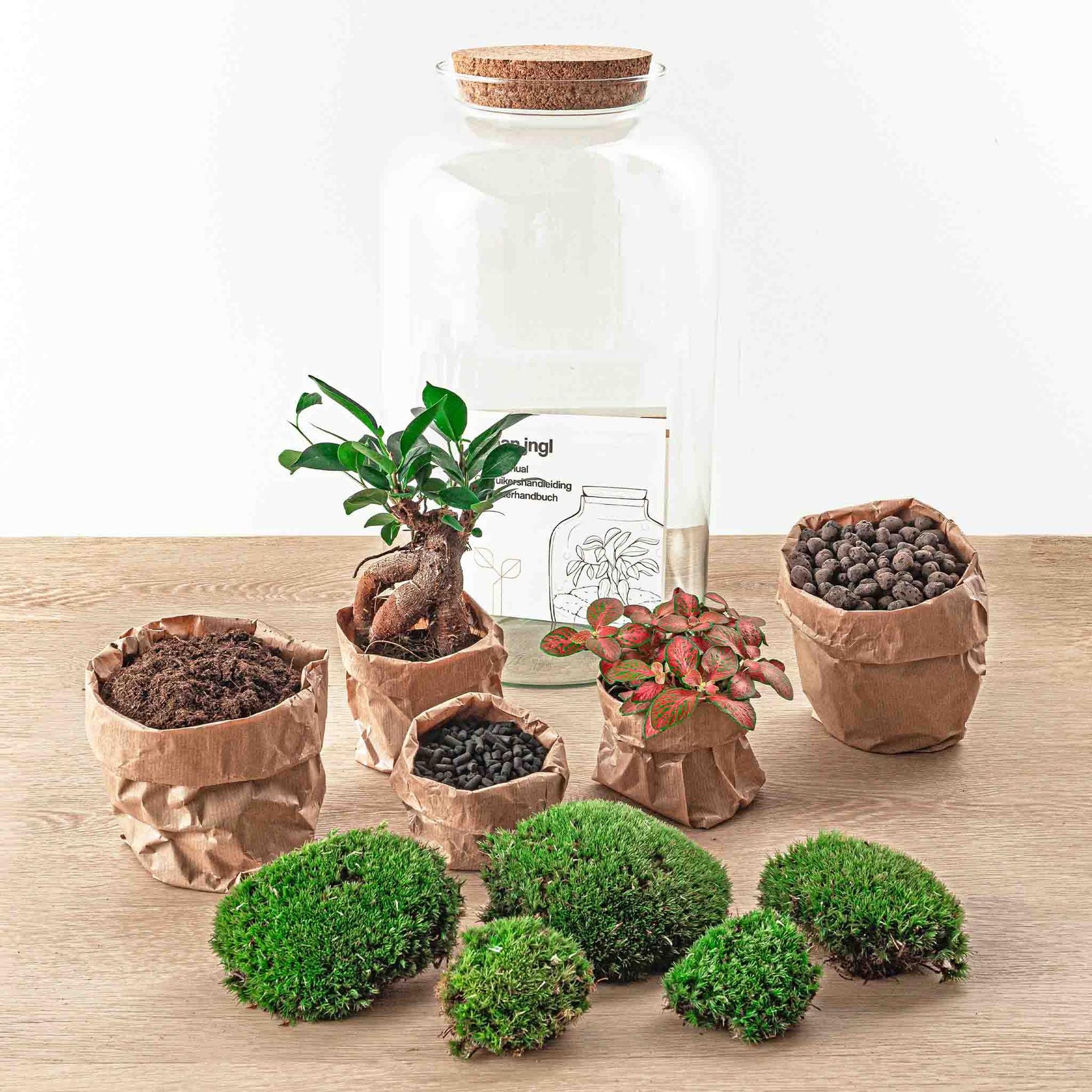 Flaschengarten - Sven Bonsai - ↕ 43 cm - Rake + Shovel + Tweezer - Pflanzfix24.de - Pflanzfix24.de