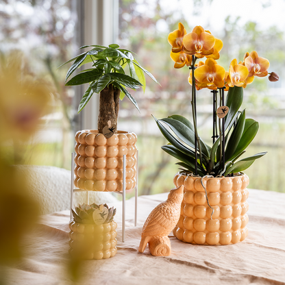 pflanzfix24 | Kolibri Home | Poppy Ziertopf - Peach - Ø6cm