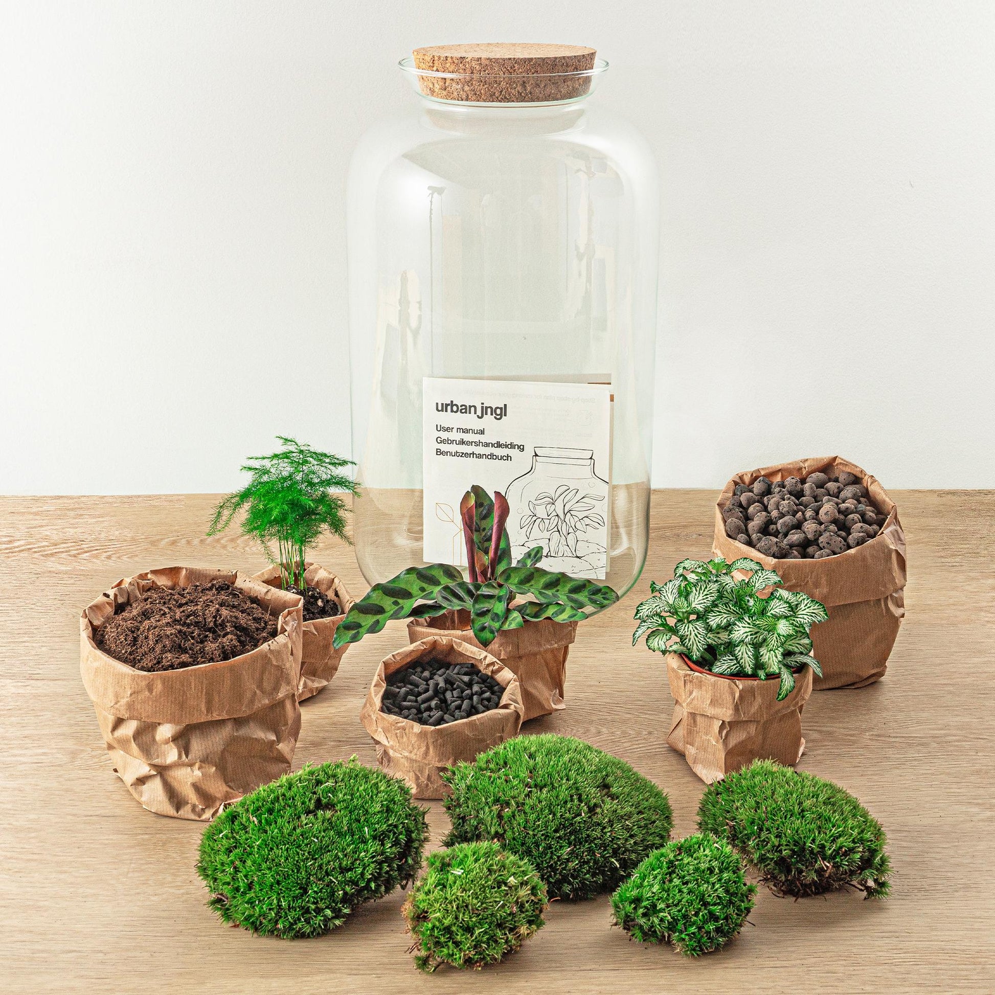 Flaschengarten - Botanical Sven XL - DIY Set - Pflanzfix24.de - Pflanzfix24.de