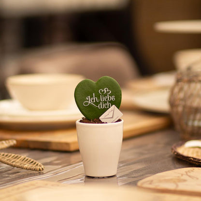 Message Printz® Hoya (Heartplant) | Ich liebe dich - Pflanzfix24