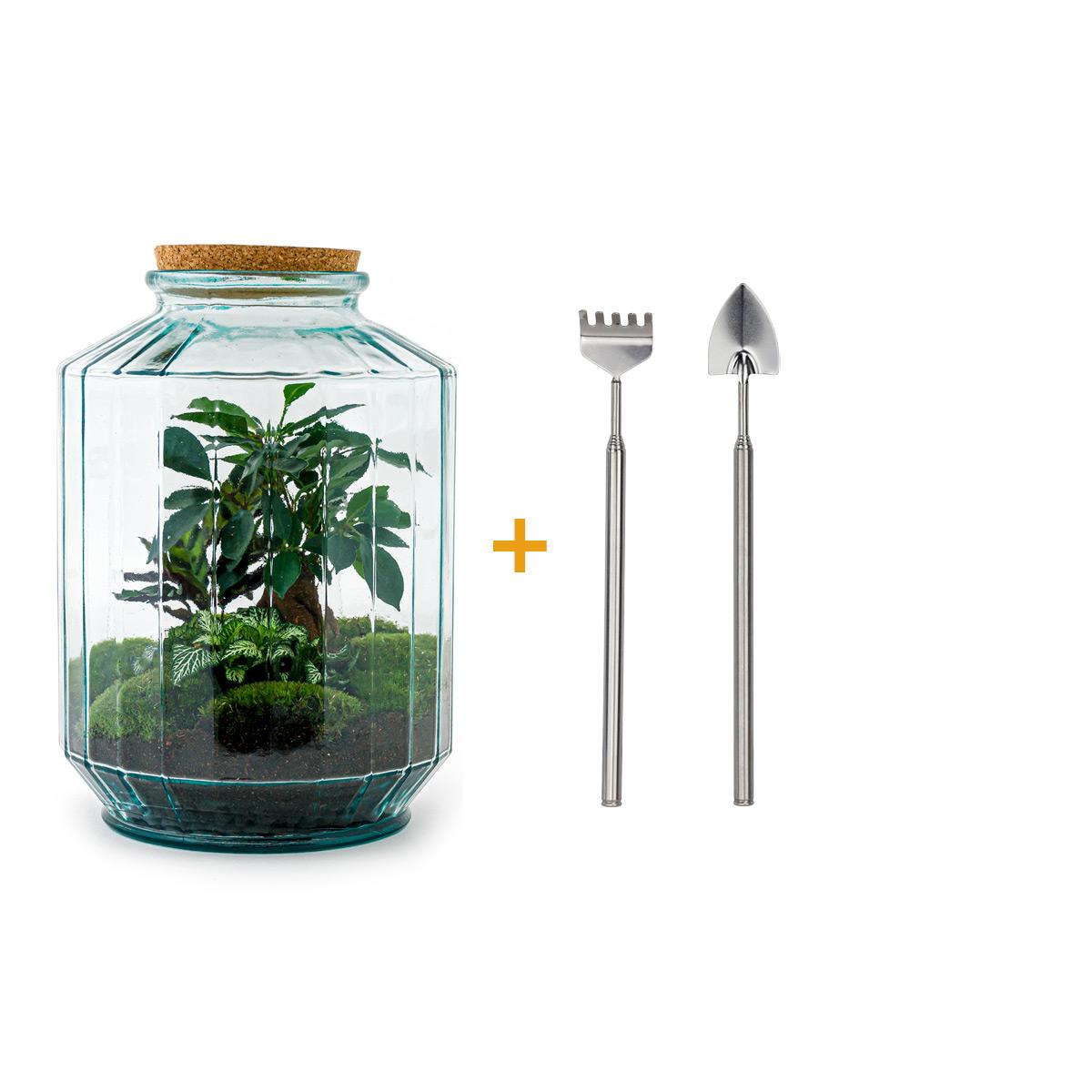 Flaschengarten - Botanischer Garten XL - Rake + Shovel - Pflanzfix24