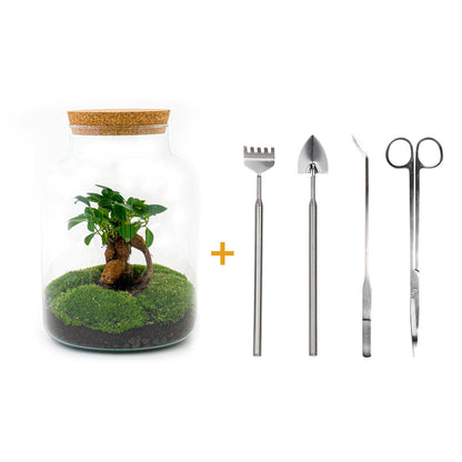 Flaschengarten - Milky mit Bonsai - ↕ 30 cm - Rake + Shovel + Tweezer + Scissors - Pflanzfix24.de - Pflanzfix24.de