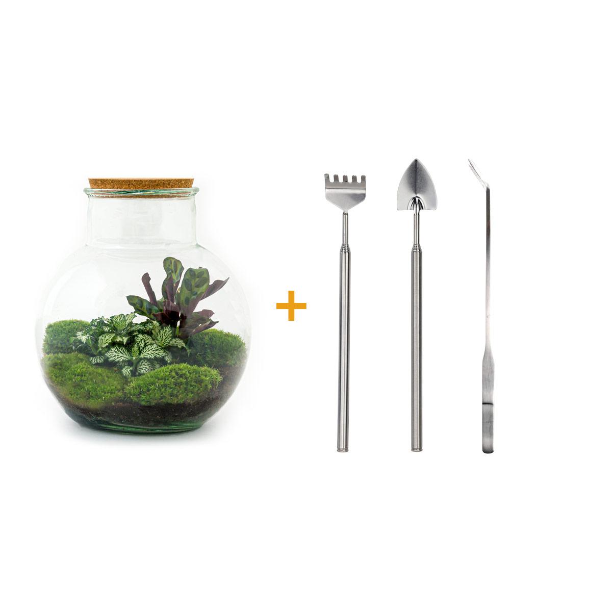 Flaschengarten - Teddy - ↕ 26,5 cm - Rake + Shovel + Tweezer bei Pflanzfix24.de - Pflanzfix24.de