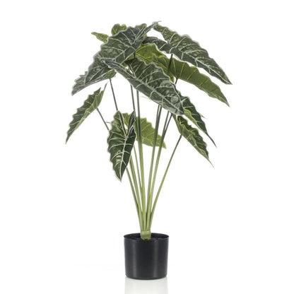Alocasia 80cm - Kunstplant - Pflanzfix24