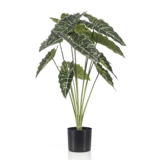 Alocasia 80cm - Kunstplant - Pflanzfix24