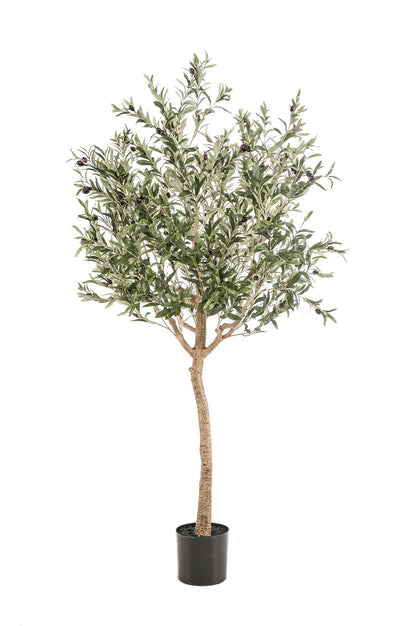 Kunstpflanze Olea europaea Olivenbaum 180 cm – Pflegeleicht & Dekorativ | Pflanzfix24.de - Pflanzfix24.de